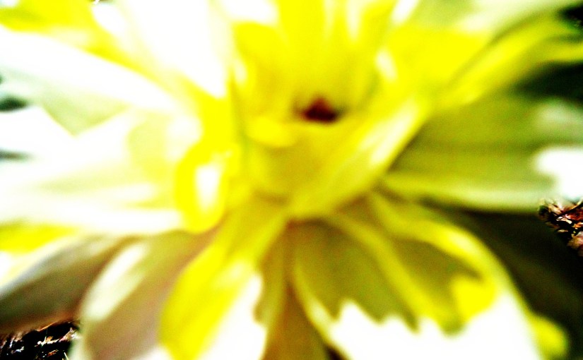 The Age of&nbsp;Transition