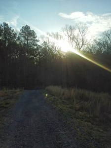 Early spring morning