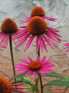 e548c-20150704_172437